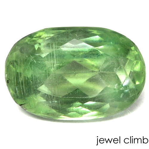 ��21�ޤ�Xmas���ꡦ����20%OFF�ۥ��꡼�󥫥���ʥ��� ���� �롼�� ���������ã�