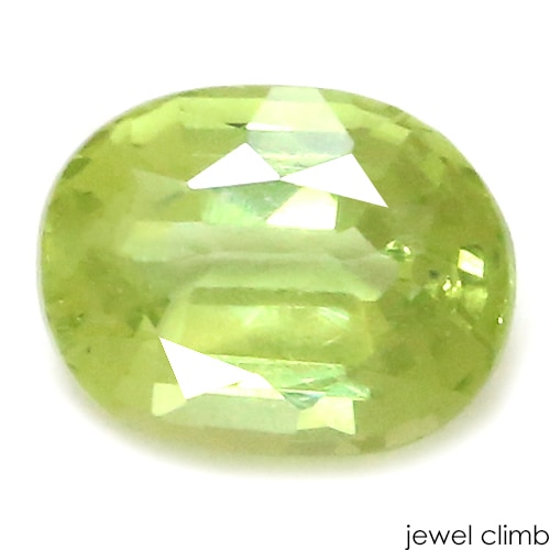 �ѥ��åȥ��顼�����󥹥������� ���� �롼�� ���������ã�