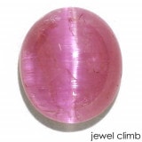 饺٥ʥڥĥåȡ˥åĥ  롼 ã