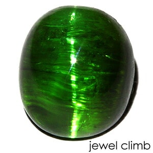 ���꡼��ȥ�ޥ�� ����åĥ��� ���� �롼�� ���������ã�