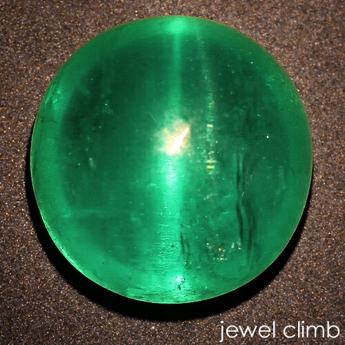 ������ɥ���åĥ��� ���� �롼�� ���������ã�