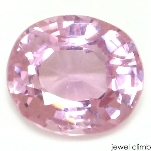 �ԥ󥯥��ԥͥ� ���� �롼�� ���������ã�