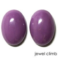 �ե����ե����ǥ饤�� ���� �롼�� ��ڥ����ȡ���䣱���������ã�