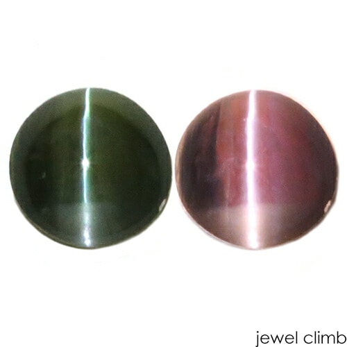 쥭ɥ饤ȥåĥ  롼 ã