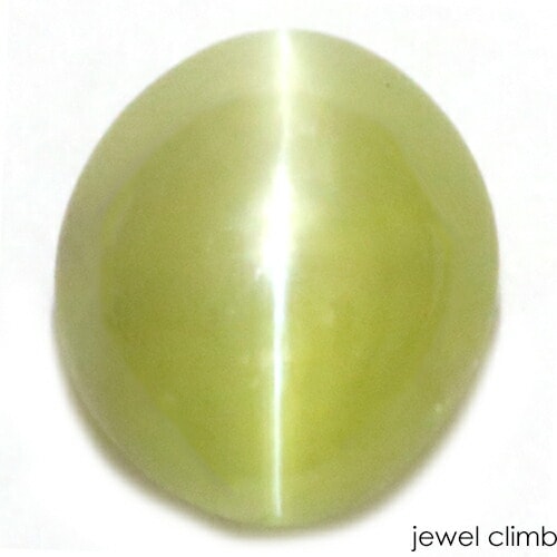 ��21�ޤ�Xmas���ꡦ����20%OFF�ۥ��꥽�٥�륭��åĥ��� ���� �롼�� ���������ã�