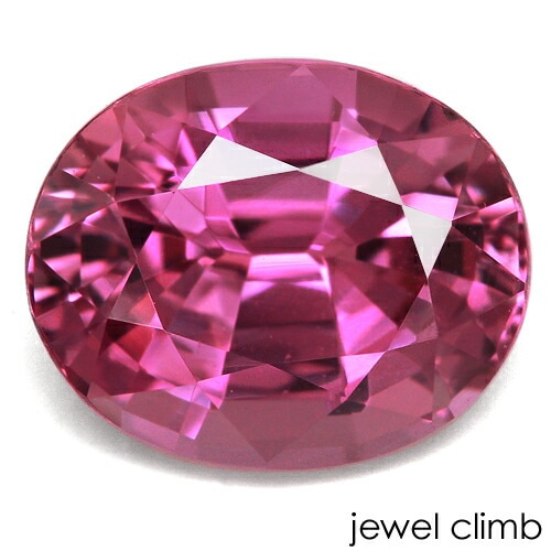 ���Ǯ�ԥ󥯥��ե����� ���� �롼�� ���������ã�