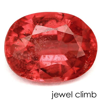 ��ǥ��å��奪��󥸥��ԥͥ� ���� �롼�� ���������ã�