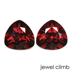 ���ڥ��륿���ȡʥ��ڥ���ƥ���� �����ͥå� ���� �롼�� ��ڥ����ȡ���� ���������ã�