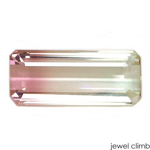 �ȥꥳ������ȥ�ޥ��  ���� �롼�� ���������ã�