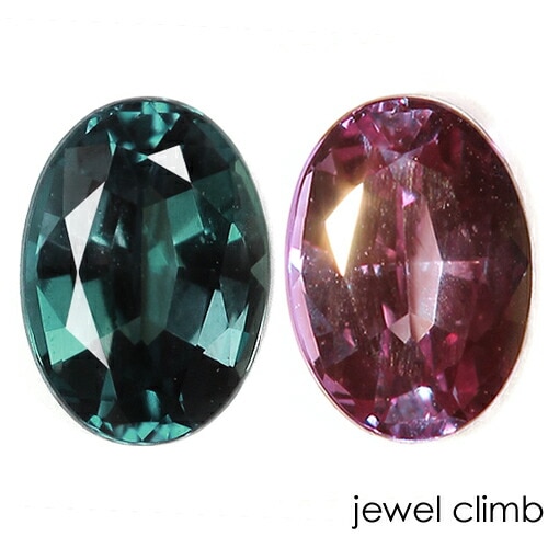 ���쥭����ɥ饤�� ���� �롼�� ���������ã�