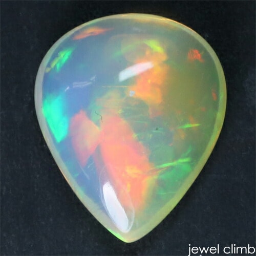 ��2/25�ޤ�ŹĹ���쥯�ȥ��ѡ����ý��ۥ������󻺥��ꥹ���륪�ѡ��� ���� �롼�� ���������ã�