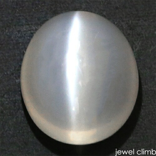 �ۥ磻�ȥࡼ�󥹥ȡ��󥭥�åĥ��� ���� �롼�� �����������ã�