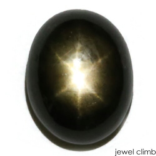 ��3/15�ޤ�ŹĹ���쥯�ȡ�<BR>�֥�å����������ե����� ���� �롼�� �����������ã�