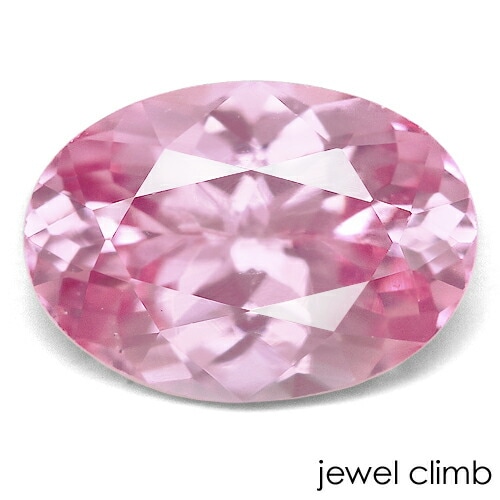 �ԥ󥯥��ԥͥ� ���� �롼�� ���������ã�