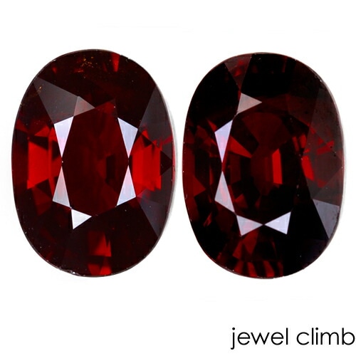 ���ڥ��륿���ȡʥ��ڥ���ƥ���� �����ͥå� ���� �롼�� ��ڥ����ȡ���� ���������ã�