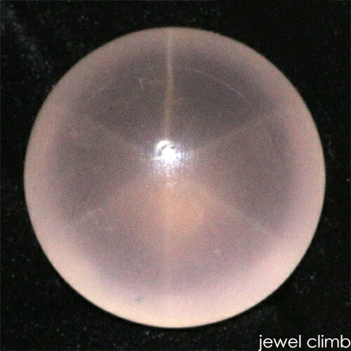 ��3/15�ޤ�ŹĹ���쥯�ȡ�<br>�������������������� ���� �롼�� �����������ã�