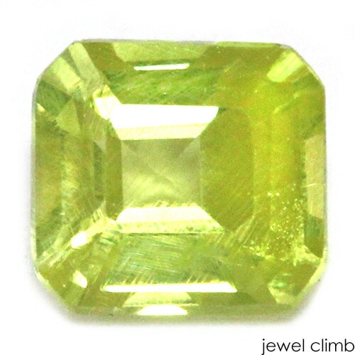 �ѥ��åȥ��顼���󥹥������� ���� �롼�� ���������ã�