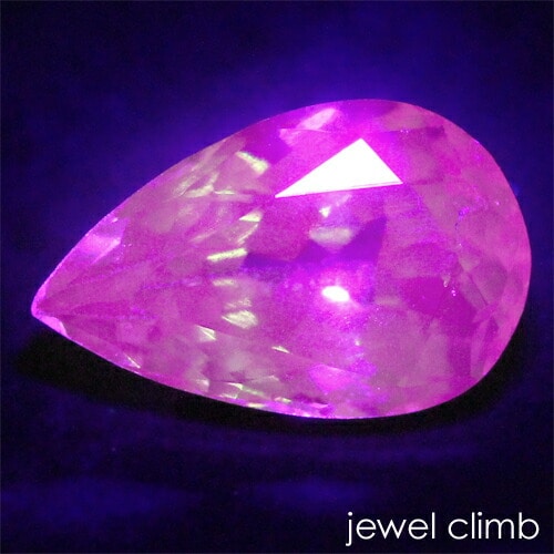 �գ֥����ץ饤�� �����ͥå� ���� �롼�� ���������ã�