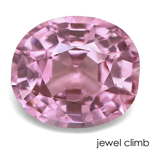 �ԥ󥯥��ԥͥ� ���� �롼�� ���������ã�