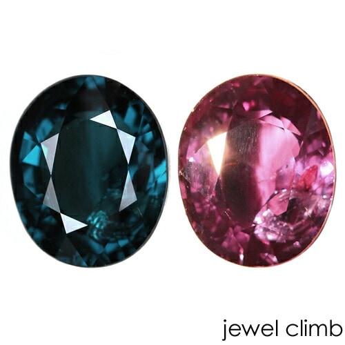 �٥��꡼�֥롼���顼������ �����ͥå� ���� �롼�� ���������ã�