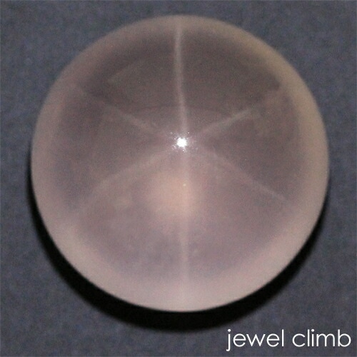 ��3/15�ޤ�ŹĹ���쥯�ȡ�<br>�������������������� ���� �롼�� �����������ã�