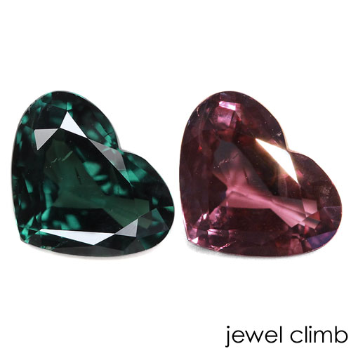 ���顼������ �����ͥå� ���� �롼�� ���������ã�