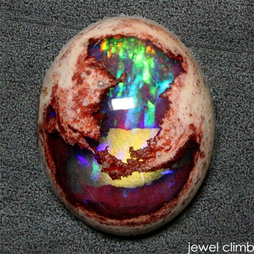 ����ƥ饪�ѡ��� ���� �롼�� �����������ã�