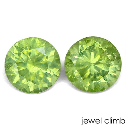 ǥޥȥ ͥå  롼  ڥȡ ã