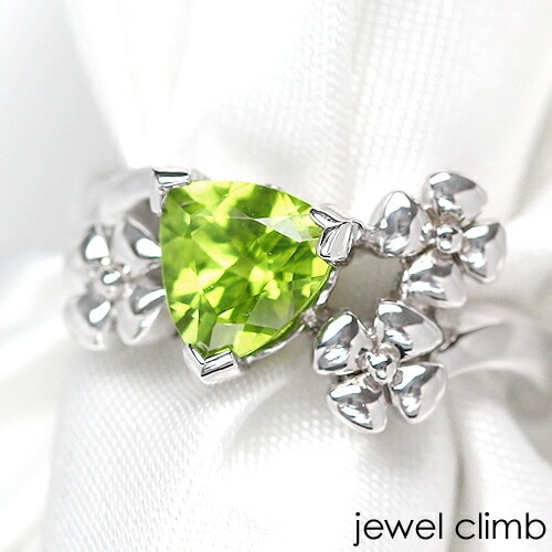 ڥɥåȣӣ֥ȥץե