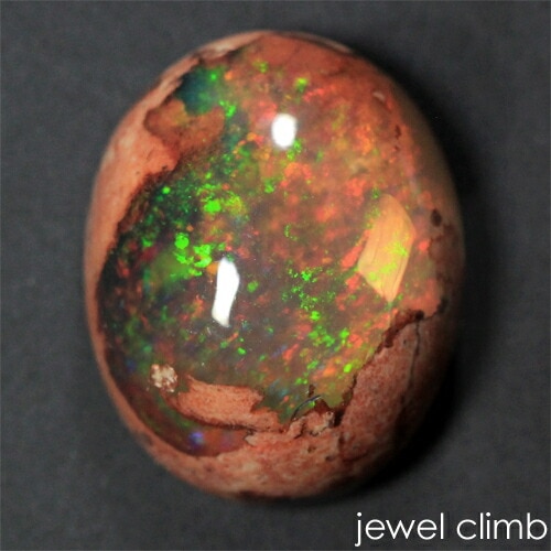 ����ƥ饪�ѡ��� ���� �롼�� ���������ã�