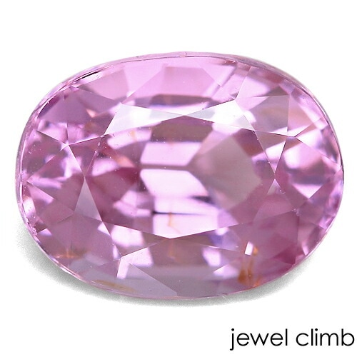 �ԥ󥯥��ԥͥ� ���� �롼�� ���������ã�