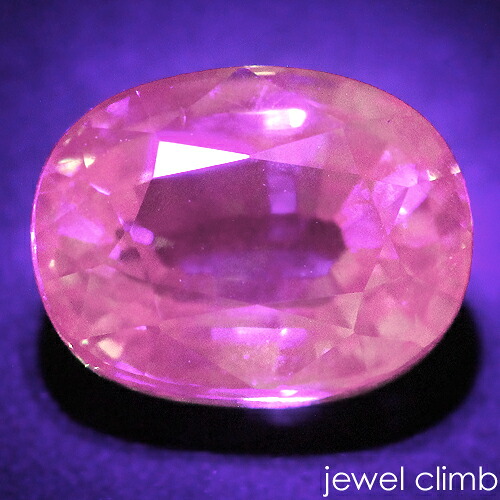 գ֥ץ饤 ͥå  롼 ã