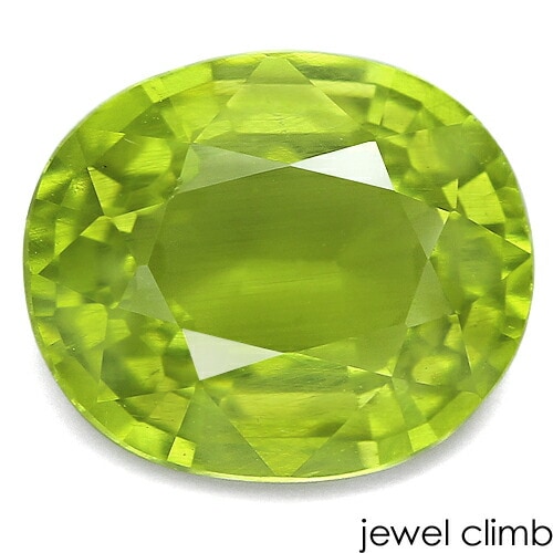 �ѥ��åȥ��顼���󥹥������� ���� �롼�� ���������ã�