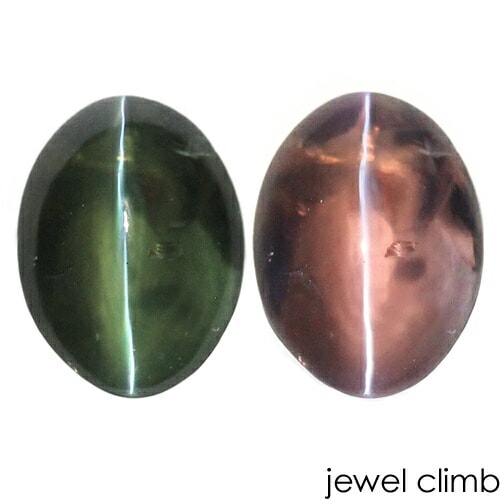 쥭ɥ饤ȥåĥ  롼 ã