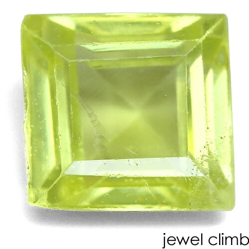 �ڣ���������Сۥѥ��åȥ��꥽�٥�� ���� �롼�� ���������ã�