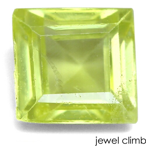 �ڣ���������Сۥѥ��åȥ��꥽�٥�� ���� �롼�� ���������ã�