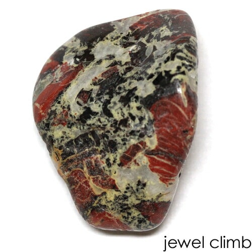 ���㥹�ѡ��ʥ���֥�� ���� �롼�� �������������ã�