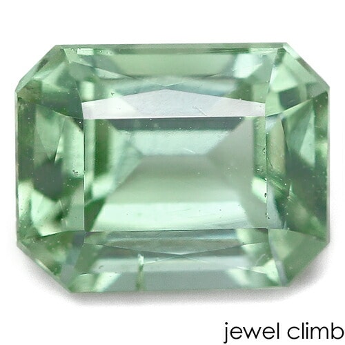 ���ե��󥰥꡼��ȥ�ޥ��  ���� �롼�� ���������ã�