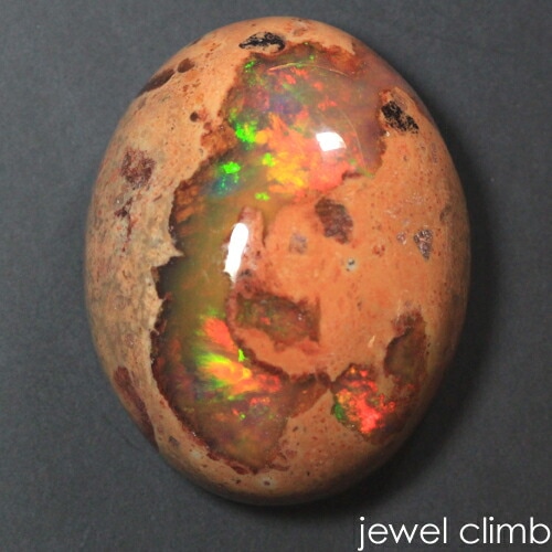 ����ƥ饪�ѡ��� ���� �롼�� �����������ã�