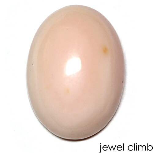 �ԥ󥯥��ѡ��� ���� �롼�� �����������ã�