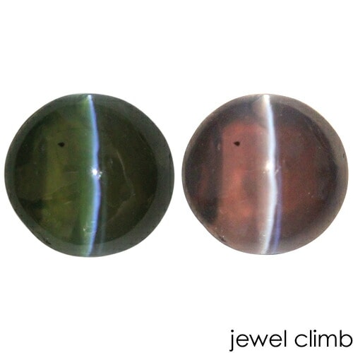 ���쥭����ɥ饤�ȥ���åĥ��� ���� �롼�� ���������ã�