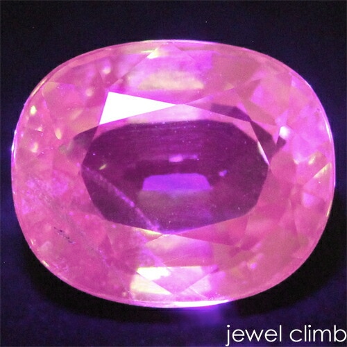 �գ֥����ץ饤�� �����ͥå� ���� �롼�� ���������ã�