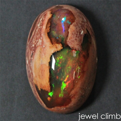 ����ƥ饪�ѡ��� ���� �롼�� �����������ã�