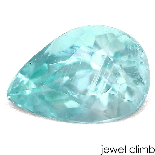 �ѥ饤�Хȥ�ޥ��  ���� �롼�� ���������ã�