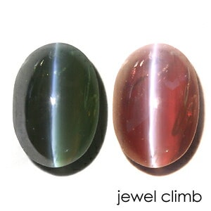 ���쥭����ɥ饤�ȥ���åĥ��� ���� �롼�� ���������ã�