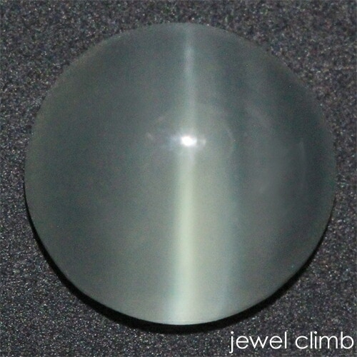 �ڣ�������������Сۥ��꡼�󥫥륵���ȥ���åĥ������������ã�