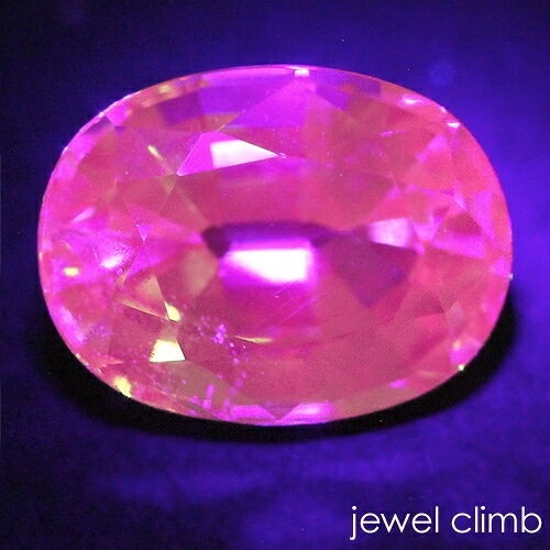 �գ֥����ץ饤�६���ͥå� ���� �롼�� ���������ã�