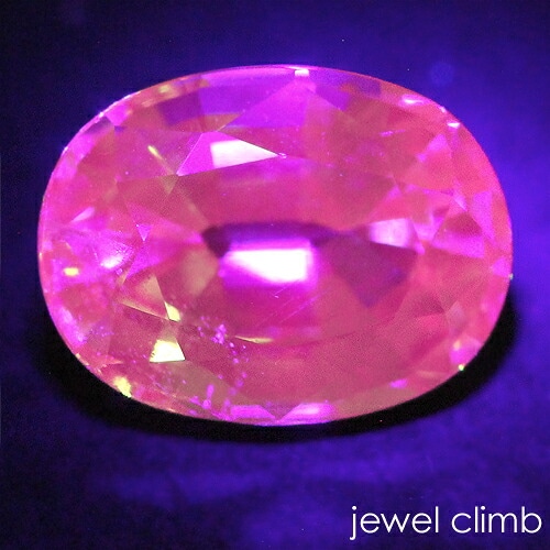 �գ֥����ץ饤�६���ͥå� ���� �롼�� ���������ã�