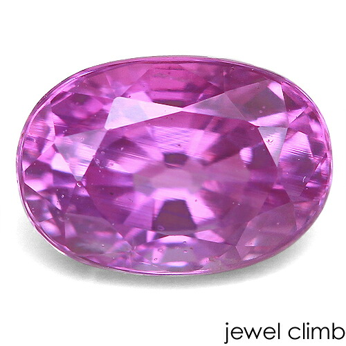 �ڽդ�ŹĹ�����롼�����쥯������<BR>�ԥ󥯥��ե����� ���� �롼�� ���������ã�