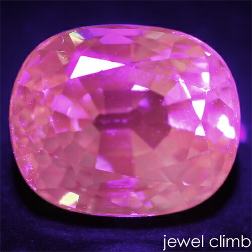 �ڽդ�ŹĹ�����롼�����쥯������<br>�գ֥����ץ饤�� �����ͥå� ���� �롼�� ���������ã�